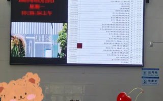 攀枝花找人代替抽血丽江入职体检服务