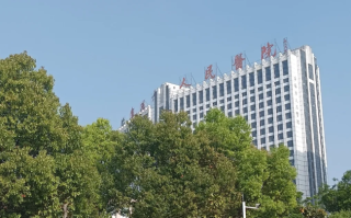 攀枝花找人代替抽血阜阳入职体检服务