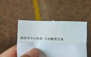 攀枝花找人代替抽血商洛入职体检服务