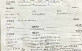 攀枝花找人代替抽血新余入职体检服务