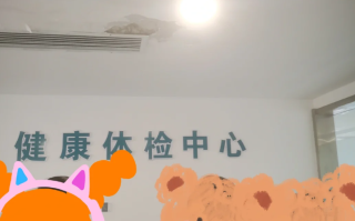 攀枝花找人代替抽血陇南入职体检服务