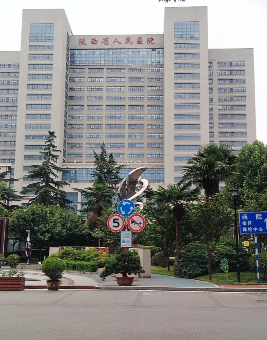 攀枝花找人代替抽血西安体检服务-第1张图片-代解忧