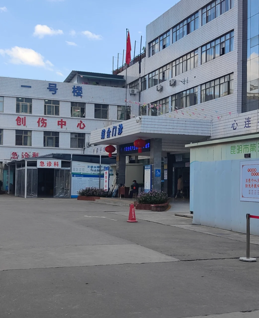 攀枝花找人代替抽血昆明入职体检服务-第1张图片-代解忧