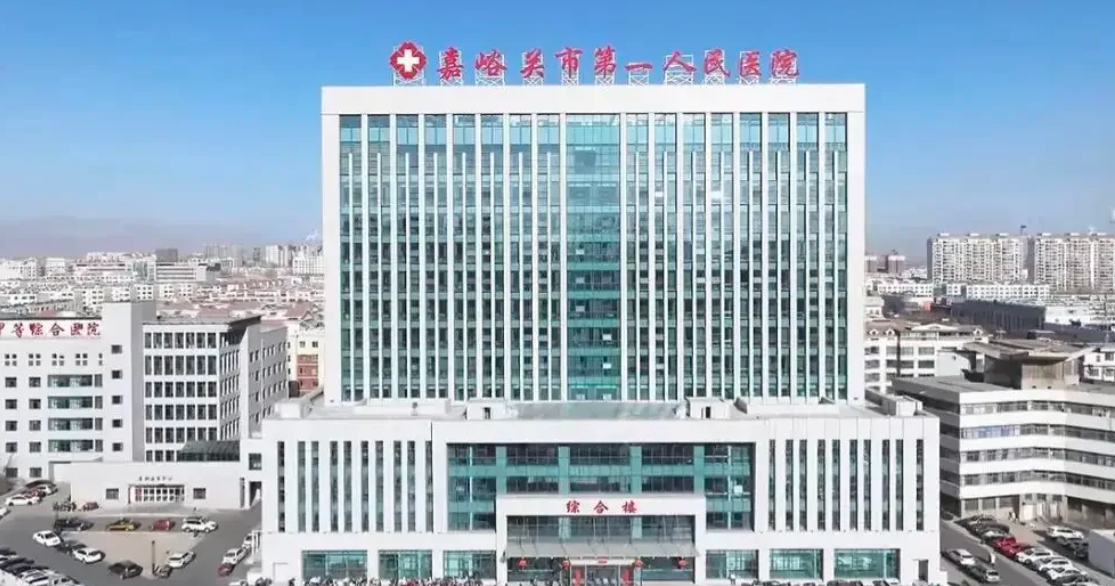 攀枝花找人代替抽血嘉峪关入职体检服务-第1张图片-代解忧