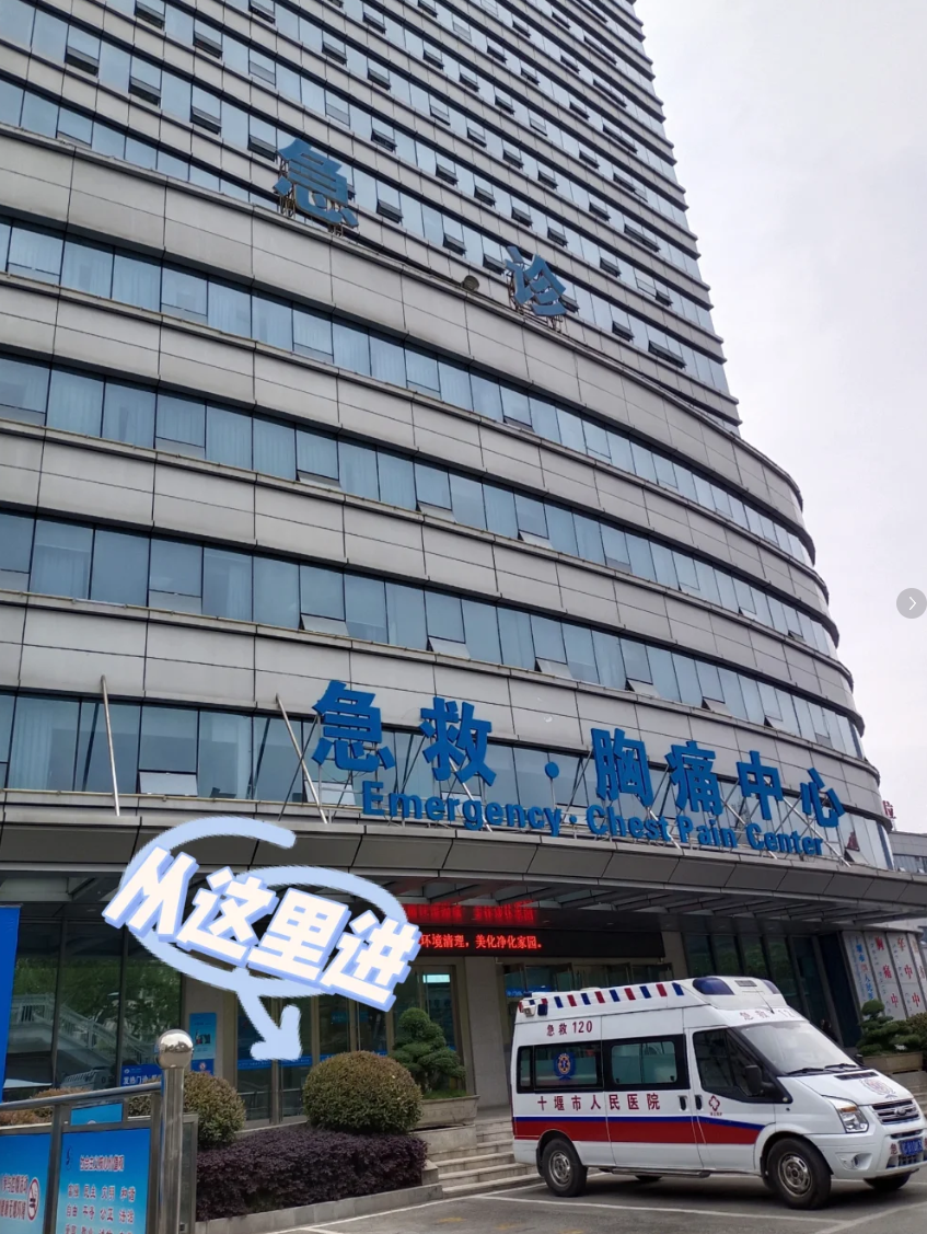 攀枝花找人代替抽血十堰入职体检服务-第1张图片-代解忧